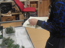 23. ledna 2026 - Školní kolo 60. ročníku biologické olympiády