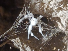 12. dubna 2026 - Výprava za poznáním - den první