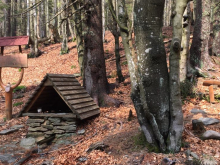 30. dubna až 3. května 2019 - Ach ta krásná ŠUMAVA!