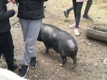 3. května 2019 - Projektový den třídy prima