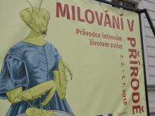 13. dubna 2018 - Milování v přírodě