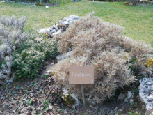 11. - 20. března 2017 - Projektový týden ve Francii 