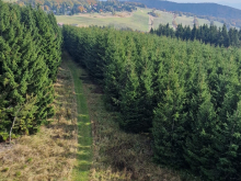 11. a 12. října 2025 - Když se neznámí stanou týmem: Příběh naší školní DOFE expedice