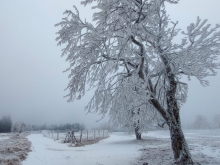 19. až 23. ledna 2026 - Pátý ročník Kurzu zimních pohybových aktivit