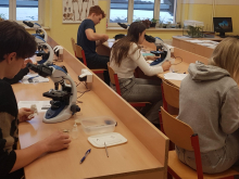 28. ledna 2026 - Biologická olympiáda kategorie A a B