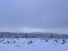 16. až 20. února 2026 - Kurz zimních pohybových aktivit 1.B