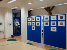 25. února 202 - Oči války