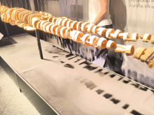 4. března 2026 - Výstava Bodyworlds