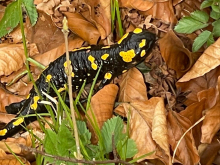 13. dubna 2026 - Výprava ta poznáním - den druhý