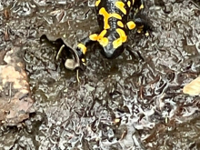 13. dubna 2026 - Výprava ta poznáním - den druhý