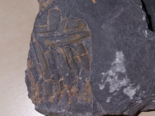 14. dubna 2026 - Výprava za poznáním - den třetí