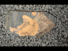 14. dubna 2026 - Výprava za poznáním - den třetí