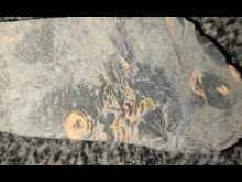 14. dubna 2026 - Výprava za poznáním - den třetí