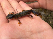 14. dubna 2026 - Výprava za poznáním - den třetí