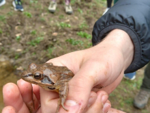 14. dubna 2026 - Výprava za poznáním - den třetí