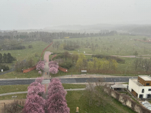 10. dubna 2026 - Sekunda v děkanském kostele