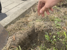 2. a 8.  října 2026 - Zapojení do projektu Krokus