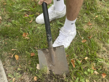 2. a 8.  října 2026 - Zapojení do projektu Krokus